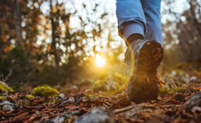 재산 가족 친구 없어도 인생 잘 사는 사람들