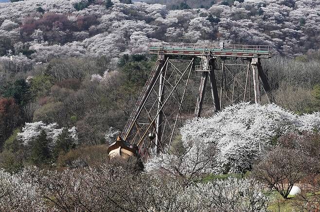 낮 최고 18∼24도…전남 남해안·제주 밤부터 비