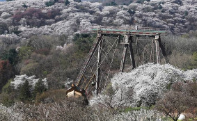 낮 최고 18∼24도…전남 남해안·제주 밤부터 비